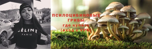 бошки Арсеньев